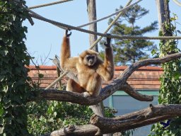 Tiergarten Schönbrunn am 05.03.2026